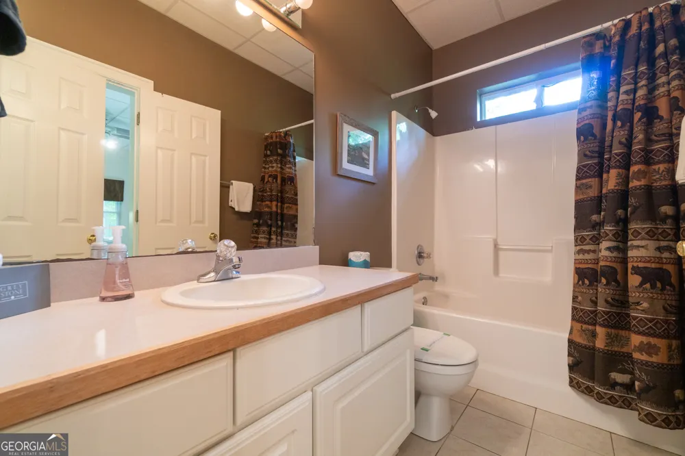 81 Dach Bruecke Gasse Helen, GA 30545