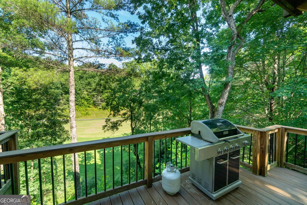 81 Dach Bruecke Gasse Helen, GA 30545