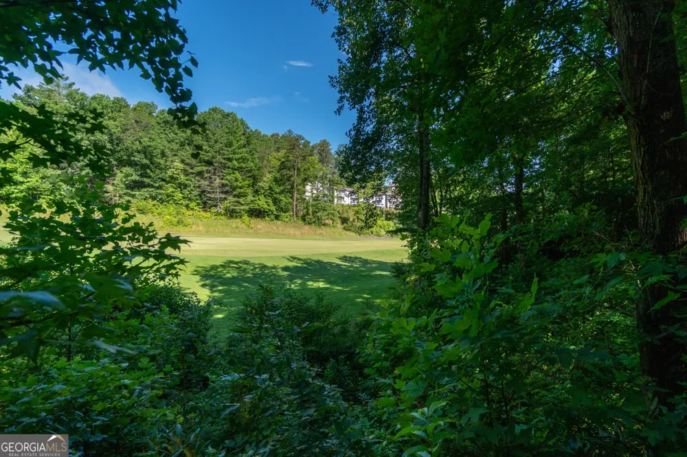 81 Dach Bruecke Gasse Helen, GA 30545