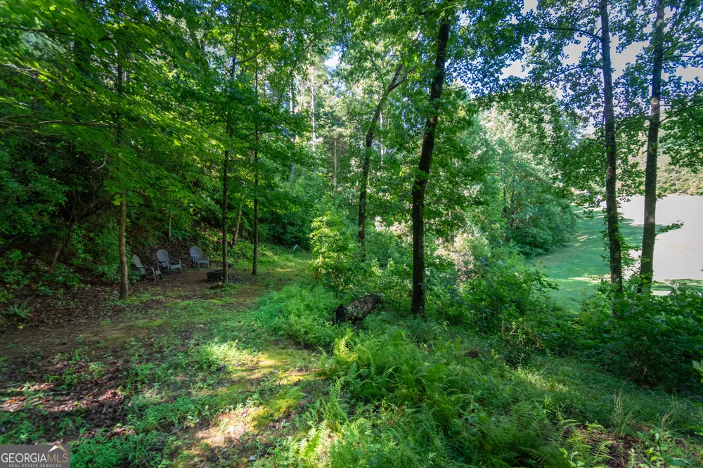 81 Dach Bruecke Gasse Helen, GA 30545