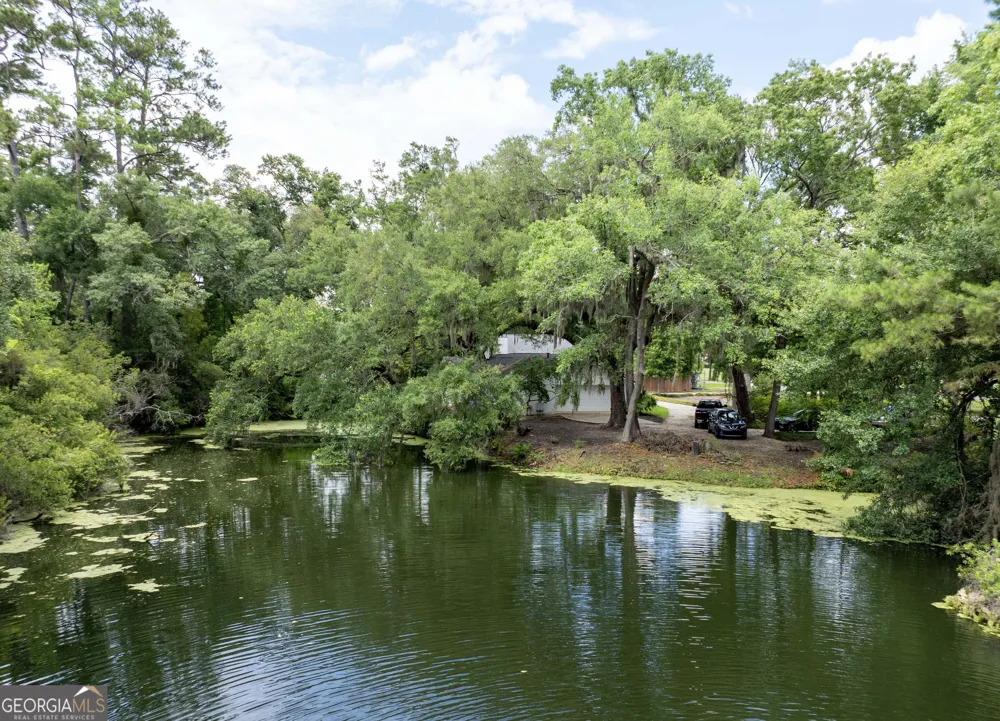 4909 Frederica RD St. Simons, GA 31522