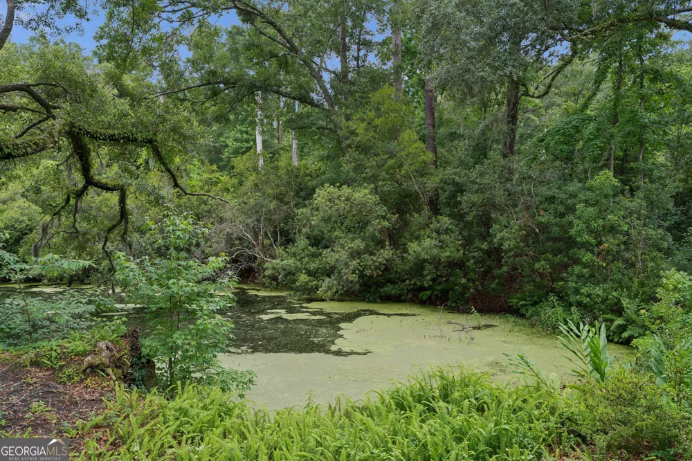 4909 Frederica RD St. Simons, GA 31522