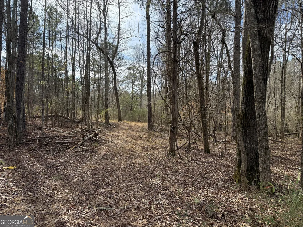 4.5 ACRES Whatley RD N LaGrange, GA 30240