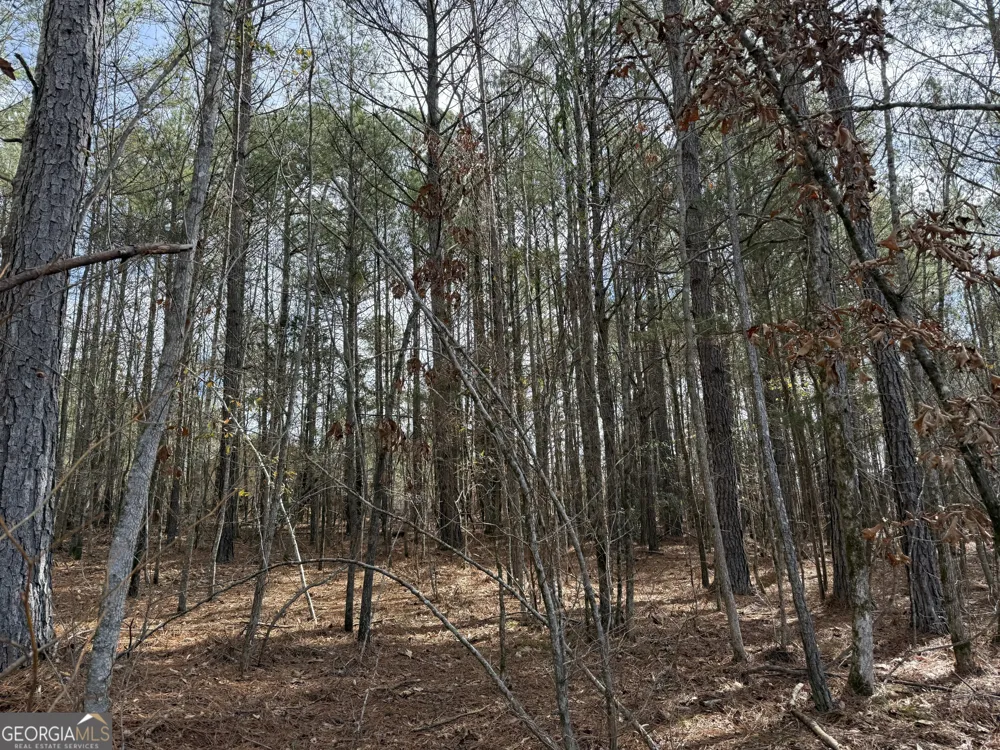 4.5 ACRES Whatley RD N LaGrange, GA 30240