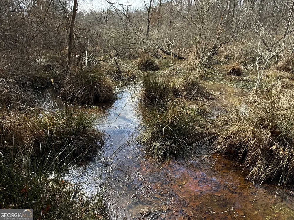 4.5 ACRES Whatley RD N LaGrange, GA 30240