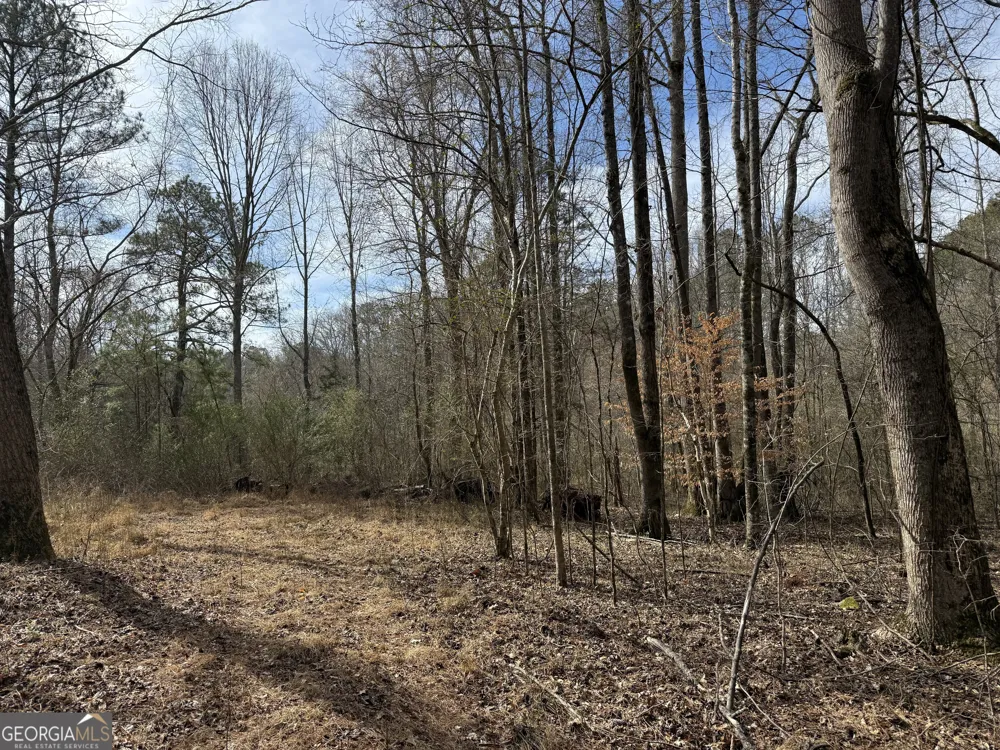 4.5 ACRES Whatley RD N LaGrange, GA 30240
