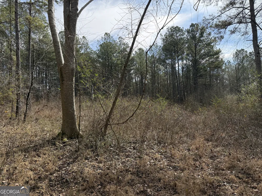 4.5 ACRES Whatley RD N LaGrange, GA 30240