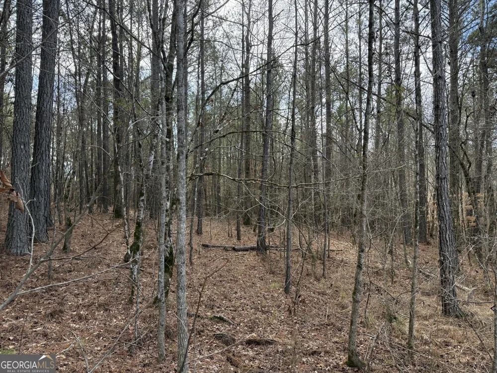 4.5 ACRES Whatley RD N LaGrange, GA 30240