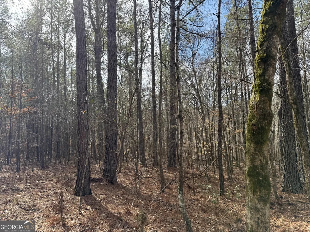 4.5 ACRES Whatley RD N LaGrange, GA 30240