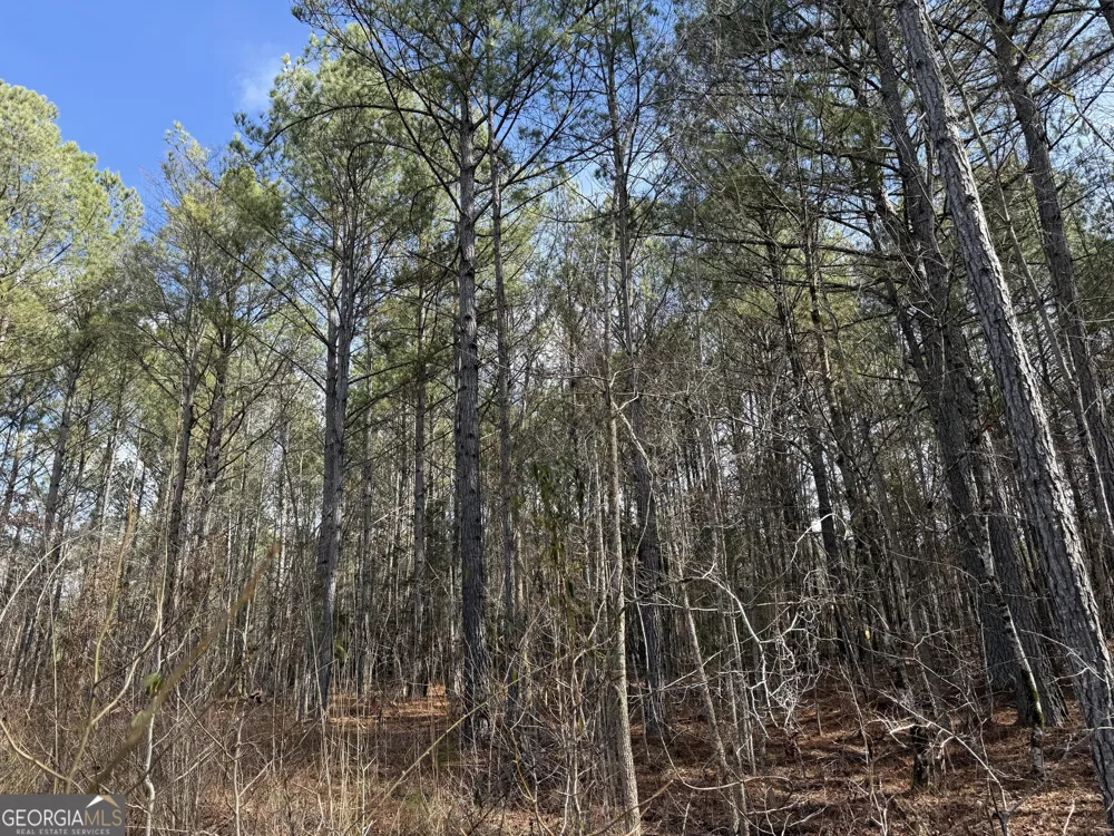 4.5 ACRES Whatley RD N LaGrange, GA 30240