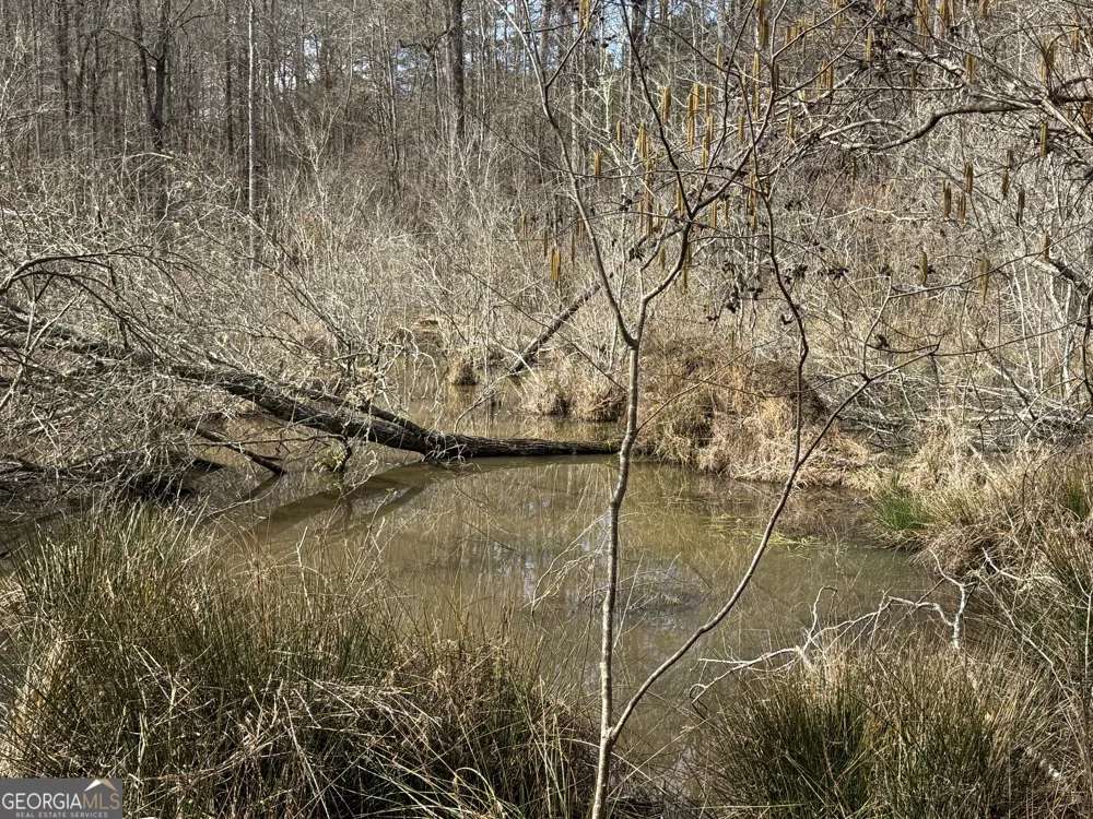 4.5 ACRES Whatley RD N LaGrange, GA 30240
