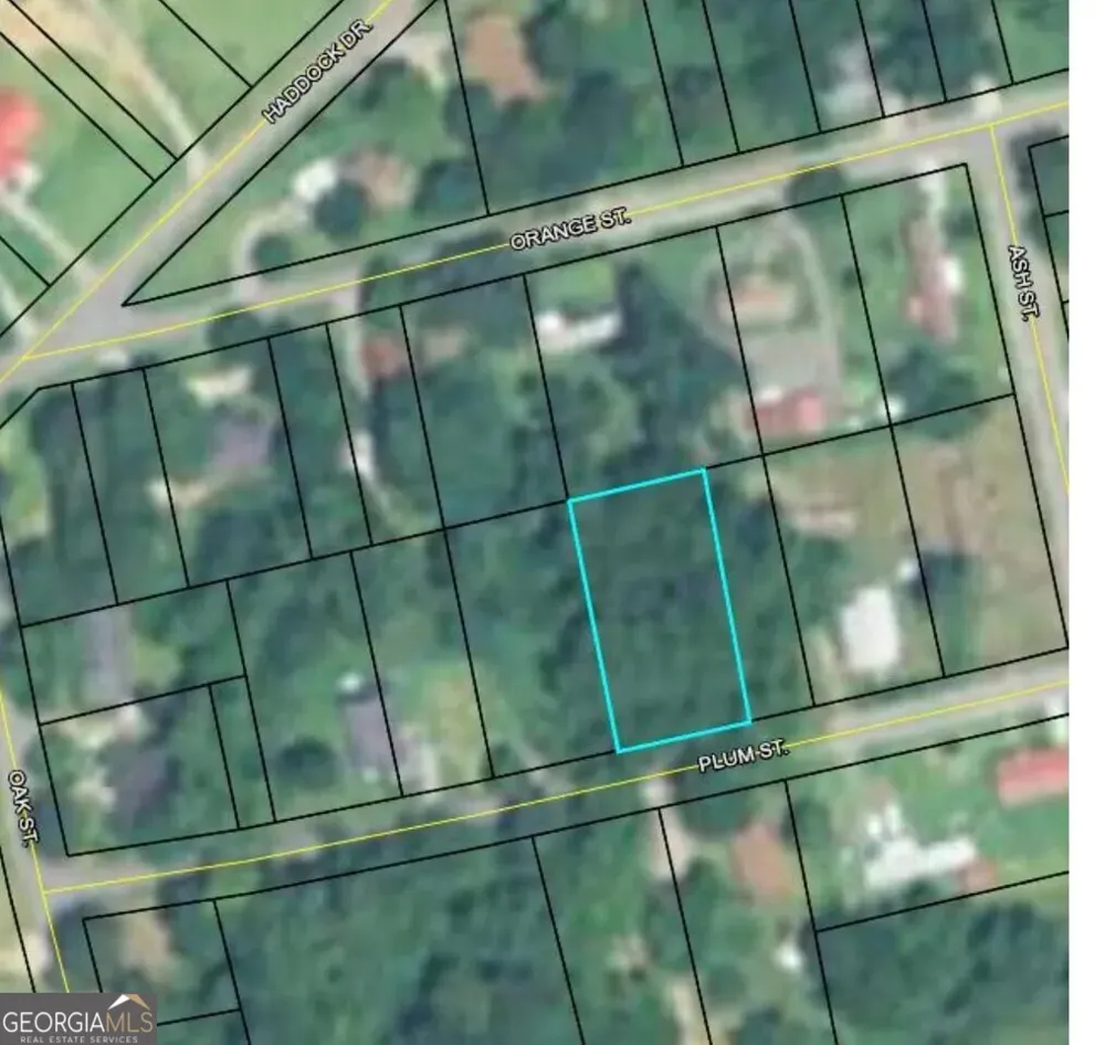 147 Plum ST Haddock, GA 31033