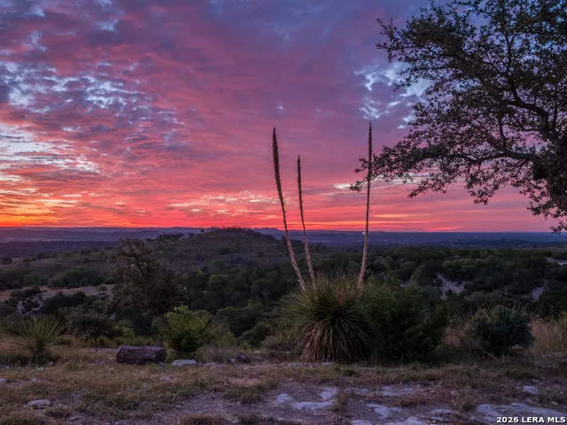 217 Saddle Wood Comfort, TX 78013