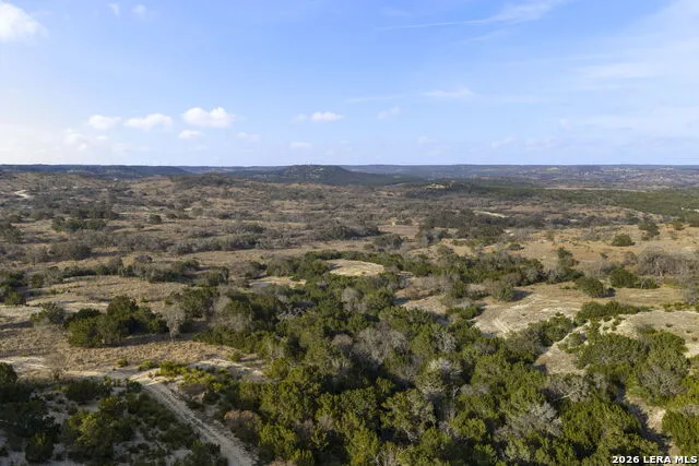 217 Saddle Wood Comfort, TX 78013