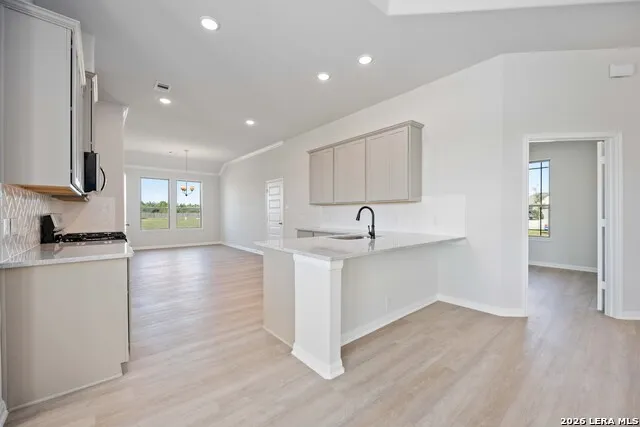 1538 Vista View Drive Pleasanton, TX 78064