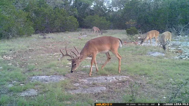 11695 COUNTY ROAD 350 Barksdale, TX 78828
