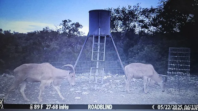 11695 COUNTY ROAD 350 Barksdale, TX 78828