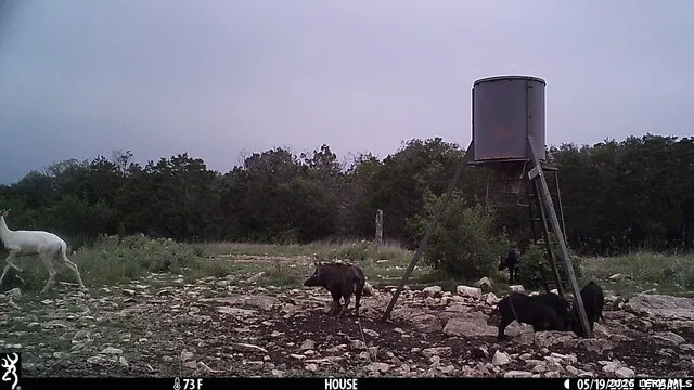 11695 COUNTY ROAD 350 Barksdale, TX 78828