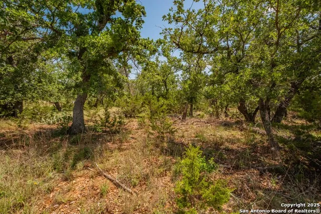 101 Betty Drive Bandera, TX 78803