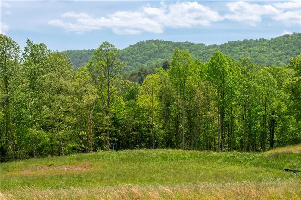 LOT 15 Waterstone Way Mineral Bluff, GA 30559