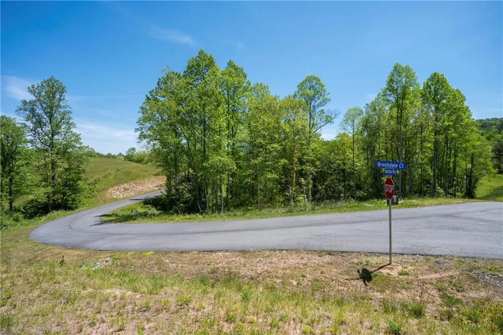 LOT 15 Waterstone Way Mineral Bluff, GA 30559