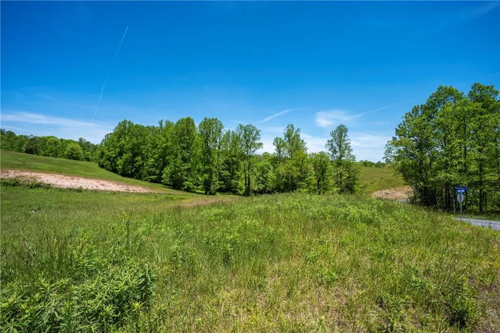LOT 15 Waterstone Way Mineral Bluff, GA 30559