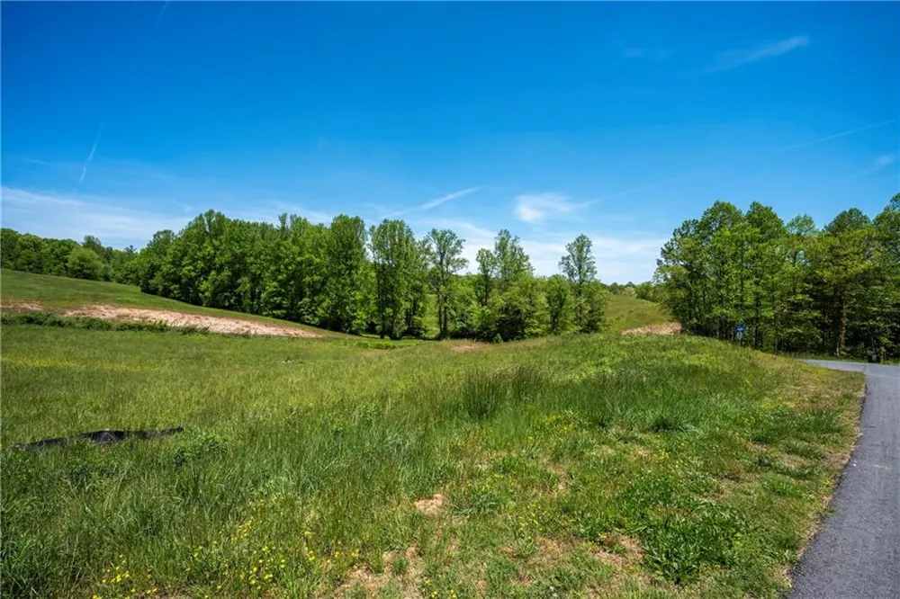 LOT 15 Waterstone Way Mineral Bluff, GA 30559