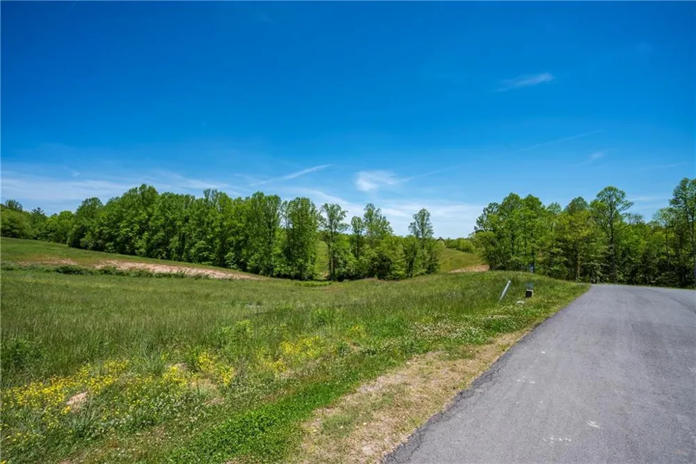 LOT 15 Waterstone Way Mineral Bluff, GA 30559