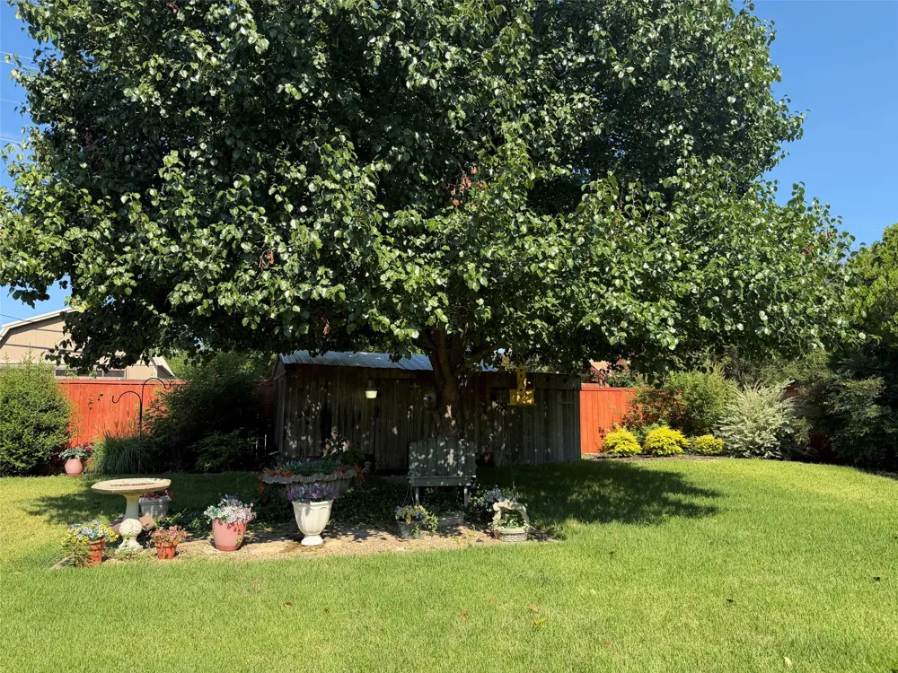 1016 Cliff Drive Graham, TX 76450