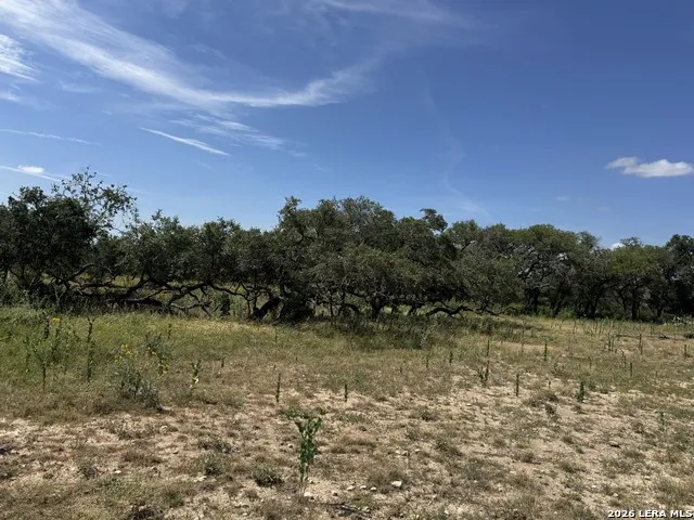 1864 Panther Hollow Bandera, TX 78003