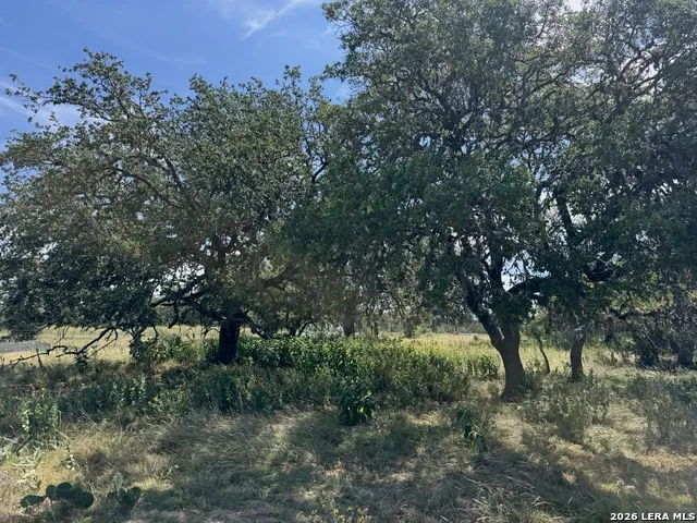 1864 Panther Hollow Bandera, TX 78003