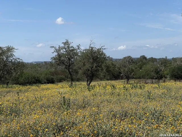 1864 Panther Hollow Bandera, TX 78003
