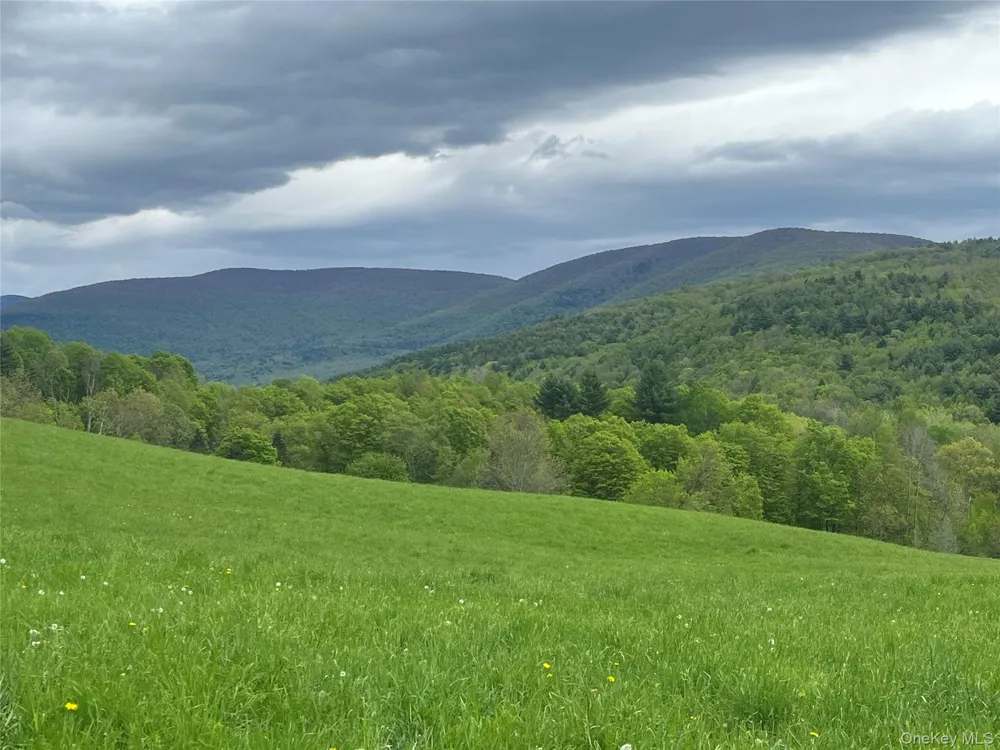 Route 23A Prattsville, NY 12468