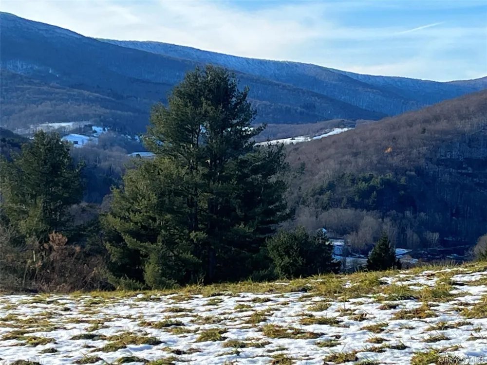 Route 23A Prattsville, NY 12468
