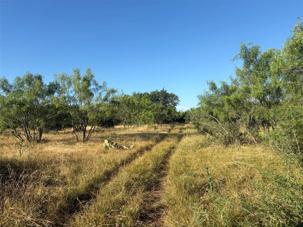 3118 CR 404 ROAD Spicewood, TX 78669
