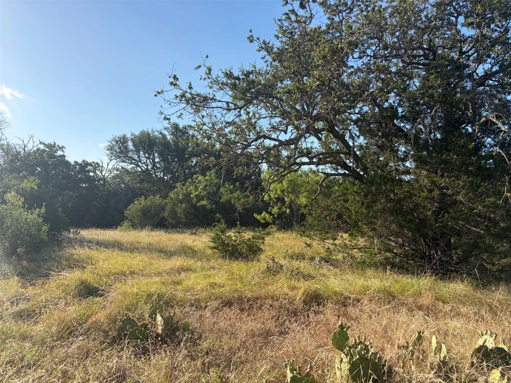 3118 CR 404 ROAD Spicewood, TX 78669
