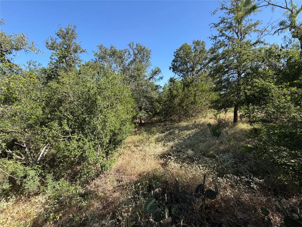 3118 CR 404 ROAD Spicewood, TX 78669