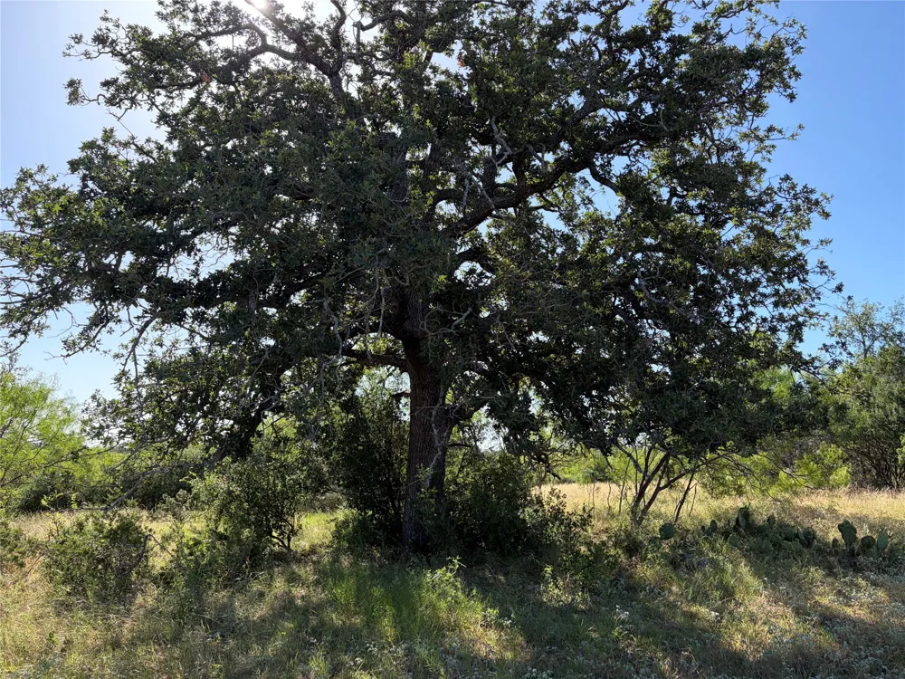 3118 CR 404 ROAD Spicewood, TX 78669