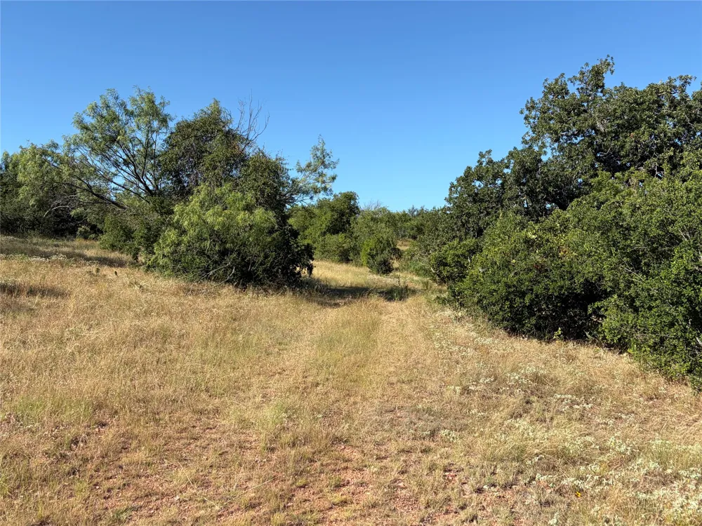3118 CR 404 ROAD Spicewood, TX 78669