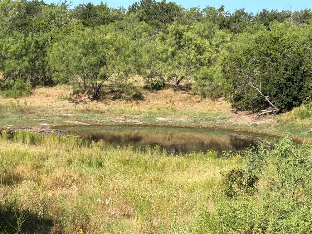3118 CR 404 ROAD Spicewood, TX 78669