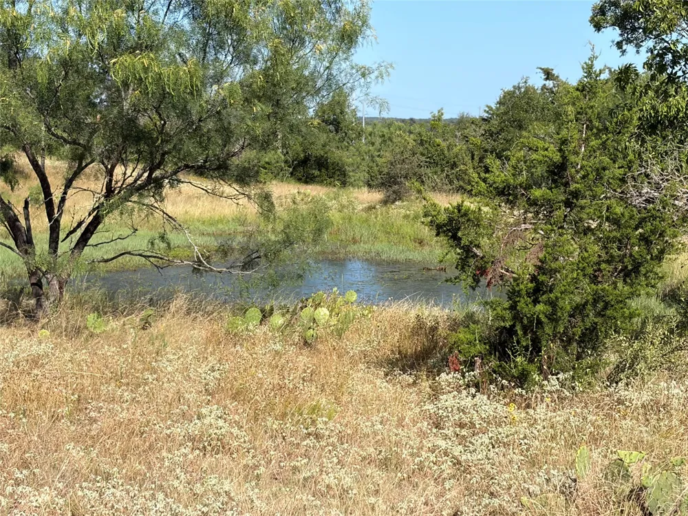 3118 CR 404 ROAD Spicewood, TX 78669