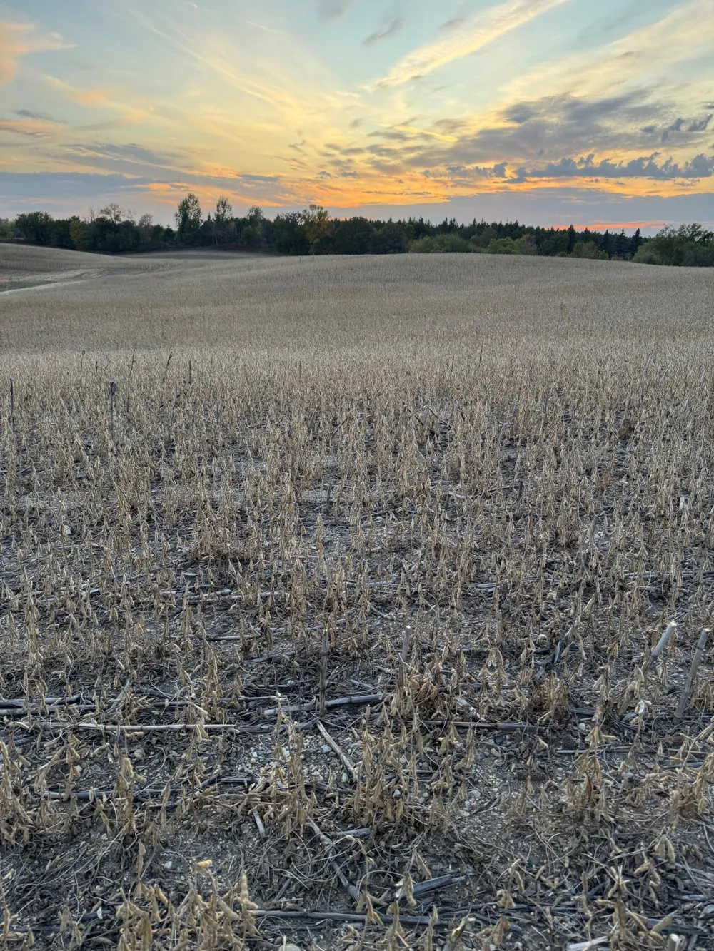 TBD Placid Drive Dent, MN 56528