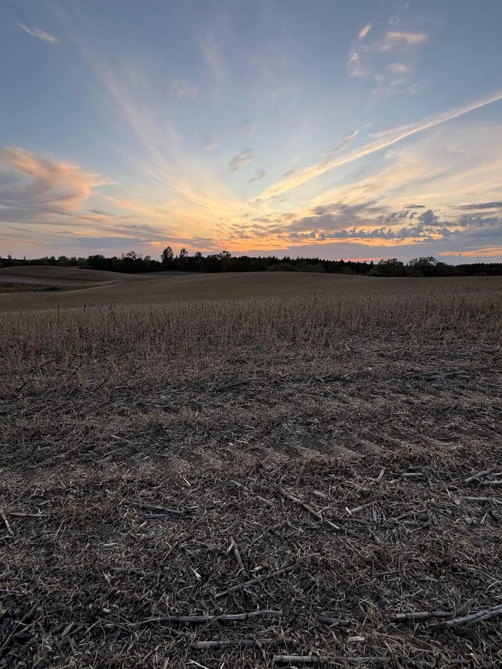 TBD Placid Drive Dent, MN 56528