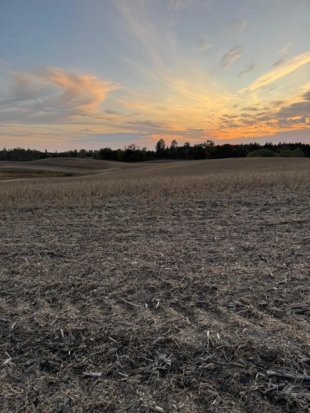 TBD Placid Drive Dent, MN 56528