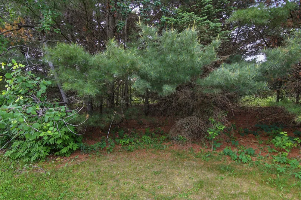 Lot 5 660th Avenue Elk Mound, WI 54739