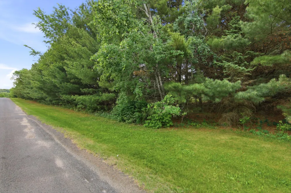 Lot 5 660th Avenue Elk Mound, WI 54739