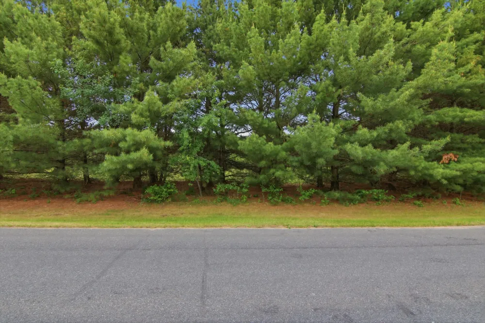 Lot 5 660th Avenue Elk Mound, WI 54739
