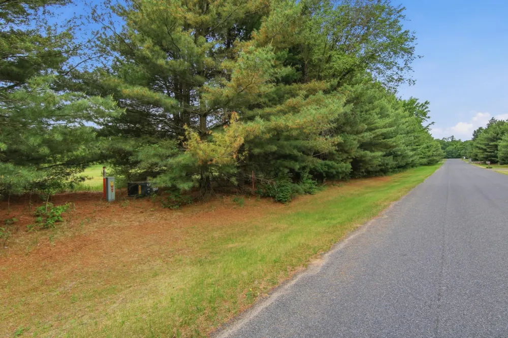 Lot 5 660th Avenue Elk Mound, WI 54739