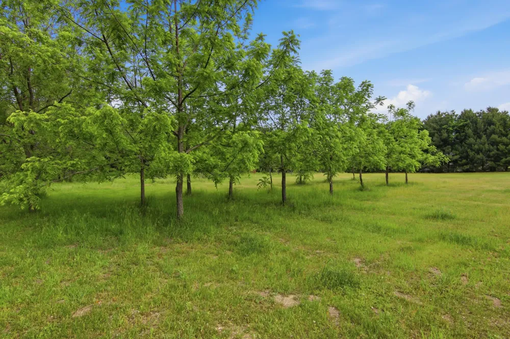 Lot 5 660th Avenue Elk Mound, WI 54739