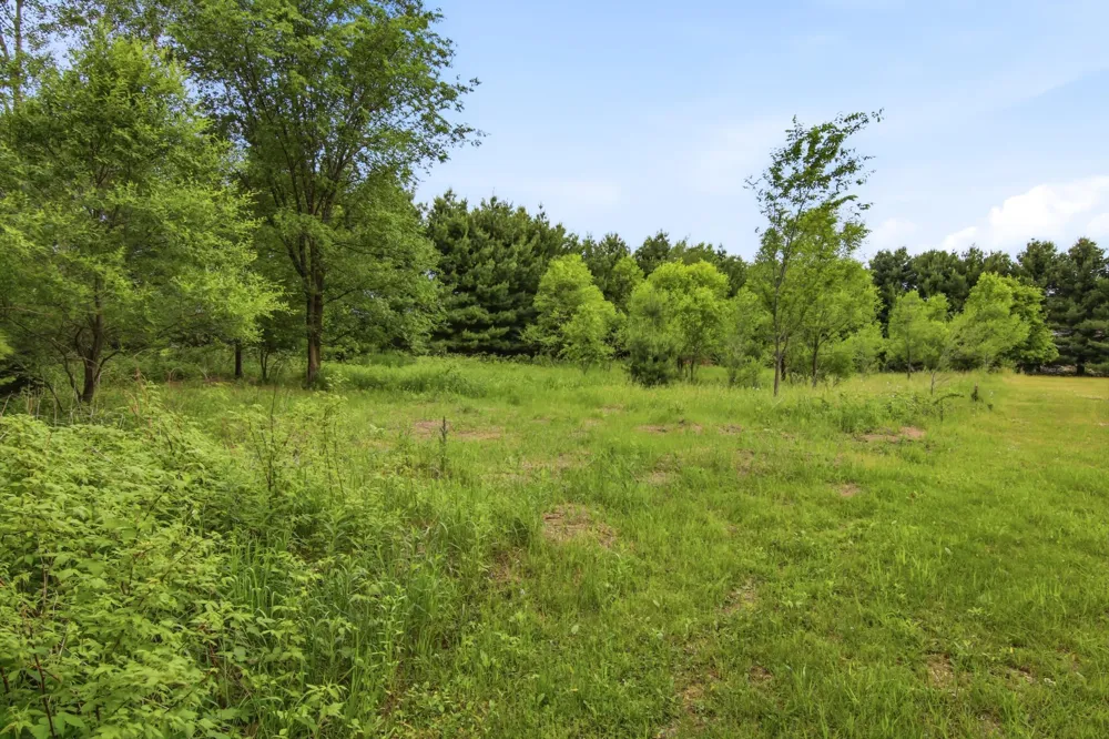 Lot 5 660th Avenue Elk Mound, WI 54739